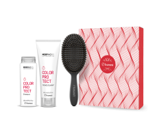 Balíček Framesi Morphosis Color Protect - Šampon 250ml + Kondicionér 250ml + kartáč na vla
