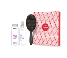 Balíček Framesi Morphosis Densifying  - Šampon 250ml + Reinforcing Spray 150ml + Kartáč