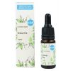 Kvítok Pleťové sérum - Zelený čaj 10ml