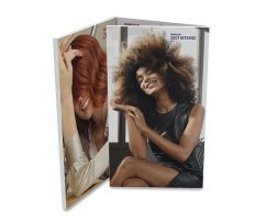 Vzorník barev 2001&Intense